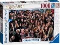 Пазлы. 1000 Испытание Гарри Поттер