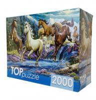 Рыжий кот. TOPpuzzle. Пазлы 2000 эл. арт.1594 Ночной табун лошадей
