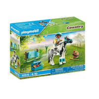 Конструктор "Collectible Lewitzer Pony"