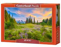 Castorland Пазл 2000 C-200863 Утренние цветы