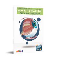 Энциклопедия 4D Devar kids в дополненной реальности «Анатомия: органы человека» А4
