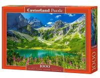 Castorland. Пазл 1000 C-105267 Озеро Татры Словакия