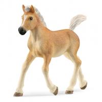 13951 Schleich Фигурка Жеребенок Хафлингер