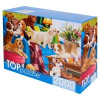 Рыжий кот. TOPpuzzle. Пазлы 2000 эл. арт.1597 Щенки одни дома