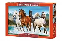 Castorland Пазл 2000 C-200702 Зов природы