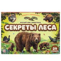 Malamalama. Плакат с окошками Секреты леса 29 окошек