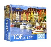 Рыжий кот. TOPpuzzle. Пазлы 500 эл. арт.6806 Яркие домики у воды