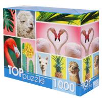 Рыжий кот. TOPpuzzle. Пазлы 1000 эл. арт.4137 Модный коллаж