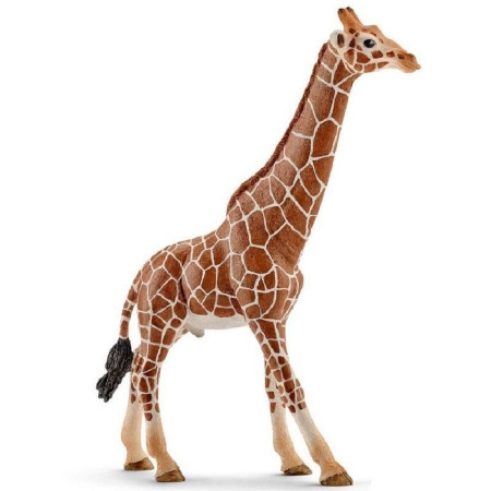 14749 Schleich Фигурка Жираф, самец
