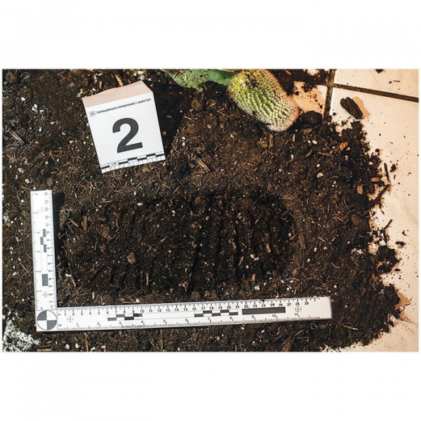 Настольная игра Детективные истории: Роковая Антарктика