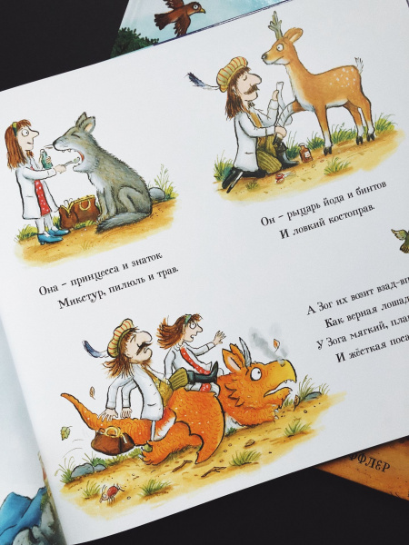 Книга Зог и перелётные врачи (Дж Дональдсон и А Шеффлер)