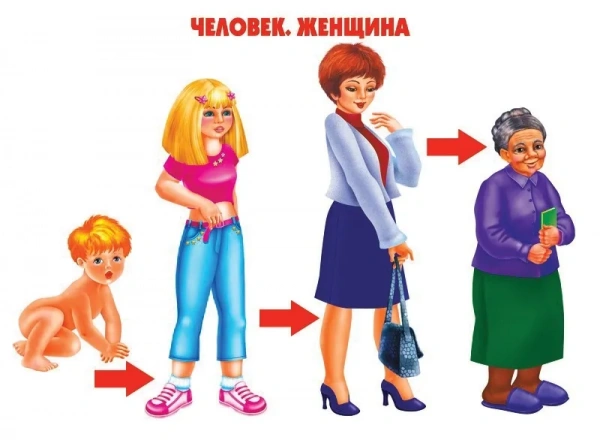 Весна-Дизайн Как растет живое
