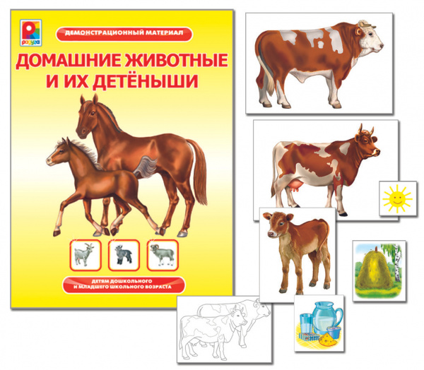 Настольная игра Радуга Домашние животные и их детеныши