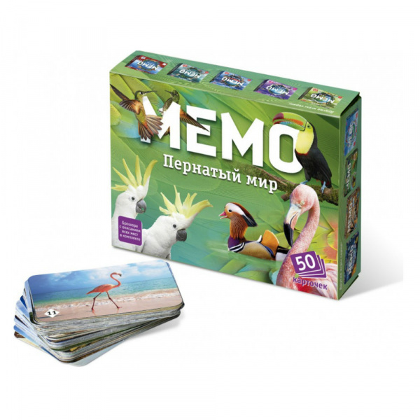 Мемо Пернатый мир
