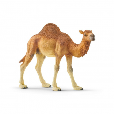 14832 Schleich Фигурка Одногорбый верблюд
