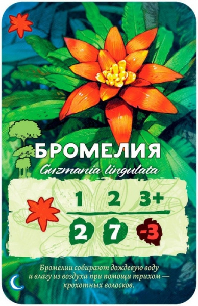 Настольная игра Амазония