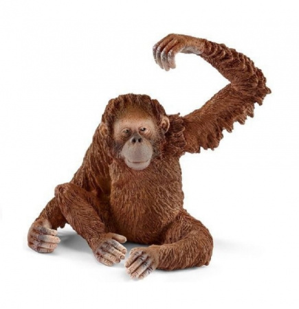 Schleich. Фигурка арт.14775 Орангутан, самка