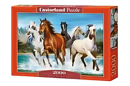Castorland Пазл 2000 C-200702 Зов природы