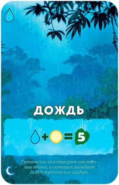 Настольная игра Амазония