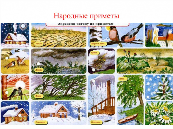 Набор карточек к электровикторине Окружающий мир