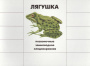 Развивающая игра Кто как устроен