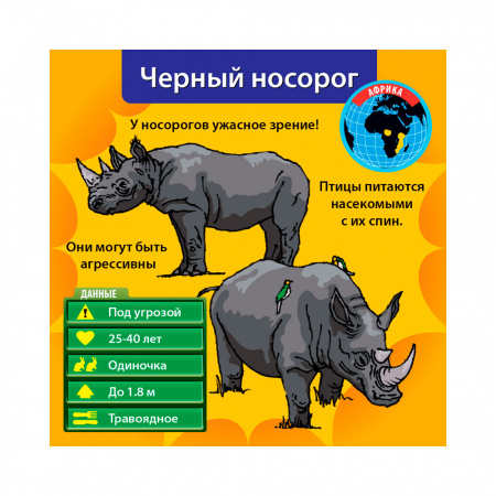 Сундучок знаний: В мире животных