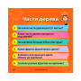 Сундучок знаний: Мои первые знания