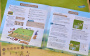 Настольная игра Городишко. Little Town