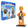 1Toy Lab Экспериментариум Набор Внутренние органы