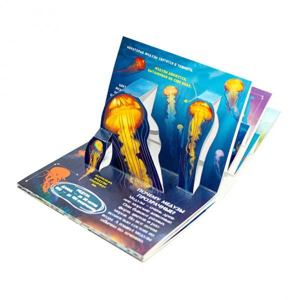 Malamalama. Набор Коллекция карманных POP-UP энциклопедий (6 книг)