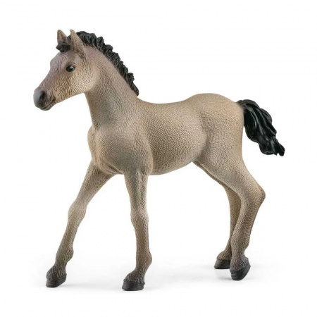 Schleich. Фигурка Лошадь Креольский жеребенок