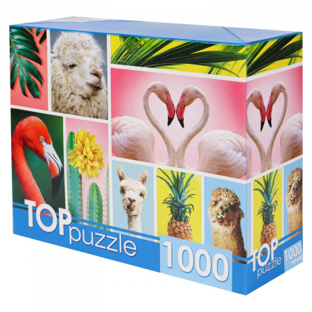 Рыжий кот. TOPpuzzle. Пазлы 1000 эл. арт.4137 Модный коллаж