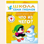 ШСГ от 4 до 5 лет Что из чего?