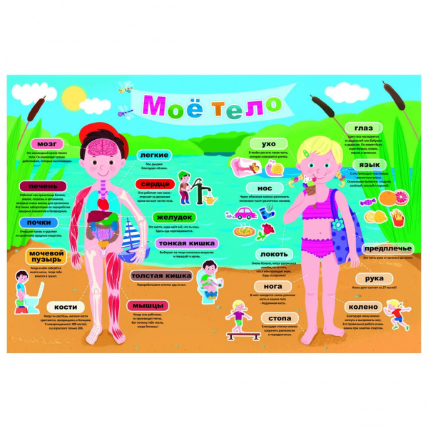 Пазл Education "Мое тело" 40 злементов